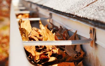 Moor Common gutter cleaning companies
